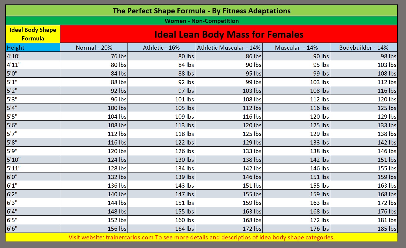 Average Lean Muscle Mass For Female